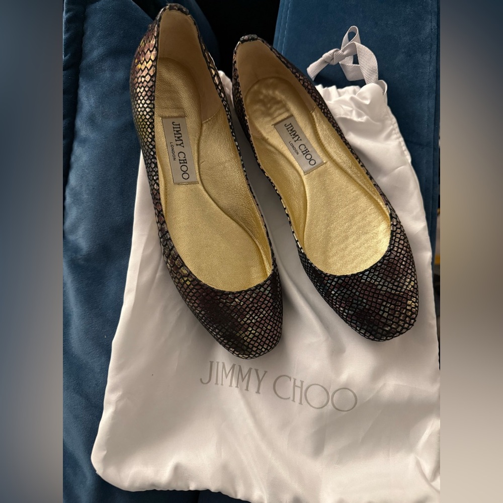 Jimmy Choo Multicolor Ballet Flats